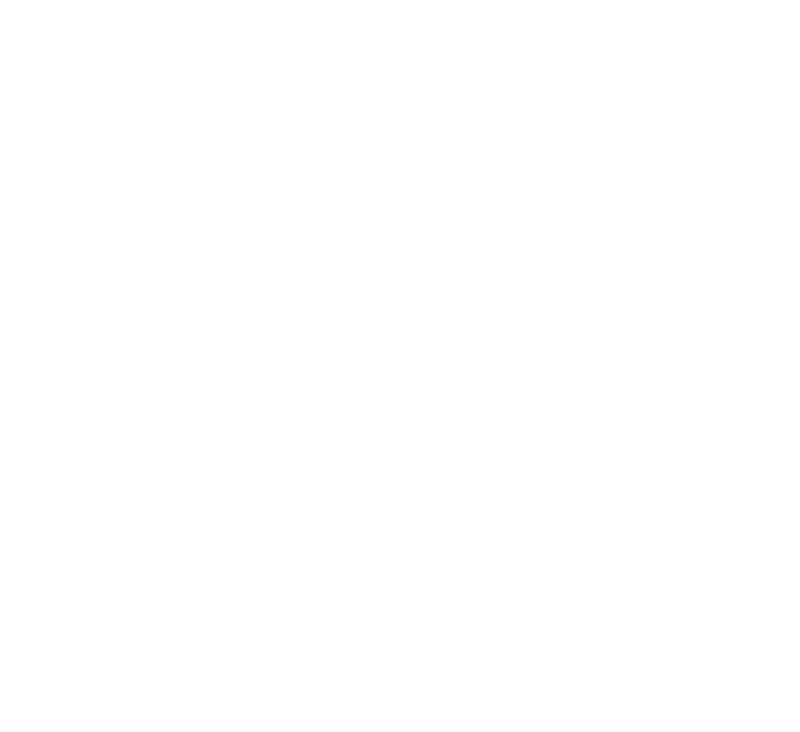 Premium Pellets Logo White LARGE